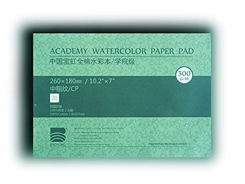 BAOHONG Academy Grade Watercolor Block, 100% Cotton, Acid-Free, 140LB/300GSM, Cold Press Textured, 20 Sheets per Block (Cold Press 7" X10.2“) - size: Cold Press 7" x 10.2"