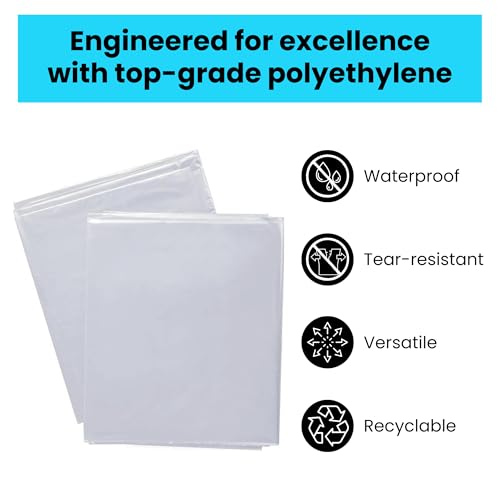 VICMORE Clear Plastic Drop Cloths 4 x 12 Ft, 1 Mil, 2 Pack