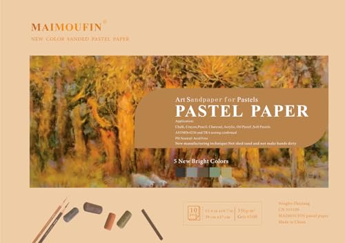 12-Pack Earth Tone Square Soft Pastels&10Sheets 5 Color Sanded Pastel Paper (15.4" x 10.7")