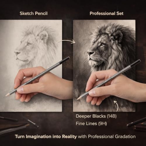 Walfront Professional Sketching Pencils Set 24-Piece 9H to 14B Graphite Drawing Pencils for Artists Beginners Art Pencils for Shading Sketching Detailing, Premium Art Supplies