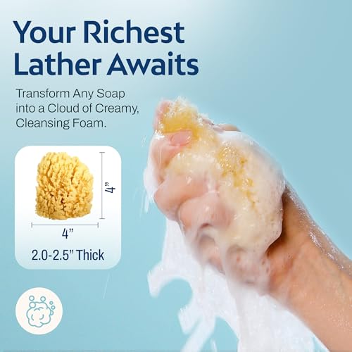 HartFelt Gentle Exfoliation Yellow Sea Sponge 4in | Natural Shower Sponges for Bathing for Men and Women | Rich Lather - size: 1 Count (Pack of 1), style: Yellow Sea Sponge