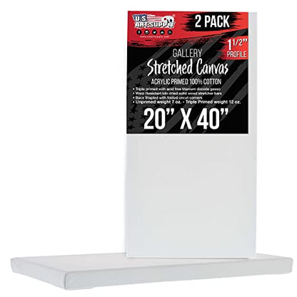 U.S. Art Supply 20"x40" Stretched Canvas for Painting, Gallery Depth 2-Pack - size: 20" x 40"