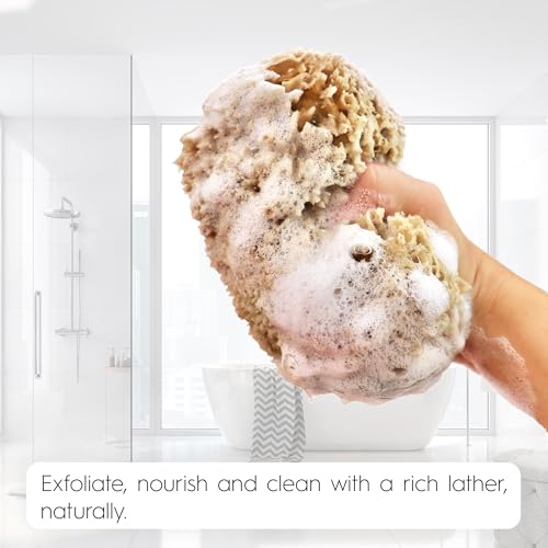 Naroa Exfoliating Natural Sponge for Shower Large | Bath Sea Loofah for Healthy Skin | Unbleached Bathing Body Scrubber Puff | Plastic Free (L)