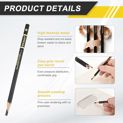 PATIKIL Hard Charcoal Pencils for Drawing, 12Pcs Professional Charcoal Pencils Art Supplies Set Oily Black Break-Resistant for Sketching Artists Beginners Shading Blending