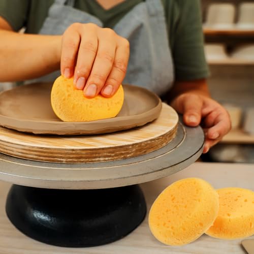 Qianyu 12 PCS Pottery Sponges Elasticity Clay Sponges Round Cleaning Sponge Water Absorption Soap Sponges Soft Yellow Artists Sponge for Kitchen Shoes Leather Care Painting