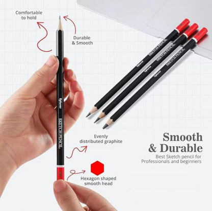 Professional Sketch Pencil Set, 14 Piece Drawing Pencils (12B-6H), Graphite Charcoal Art Pencils with Eraser and Sharpener in Metal Tin Case