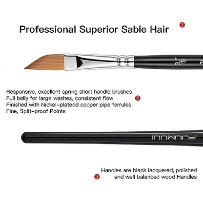 Sable Watercolor Brushes Professional Kolinsky Sable Brushes 7pcs - Dagger, Pointed Rounds, Rigger, Long Flat, Fan Brush Set for Watercolor Gouache Acrylic Inks Painting - color: Black