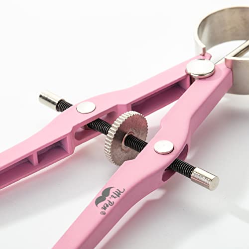 Mr. Pen- Professional Compass for Geometry, Extra Lead | Metal Compass Drawing Tool for Students, Drafting and Engineering, Technical Drawings, Circles and Geometry Projects - color: Pink
