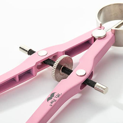 Mr. Pen- Professional Compass for Geometry, Extra Lead | Metal Compass Drawing Tool for Students, Drafting and Engineering, Technical Drawings, Circles and Geometry Projects - color: Pink