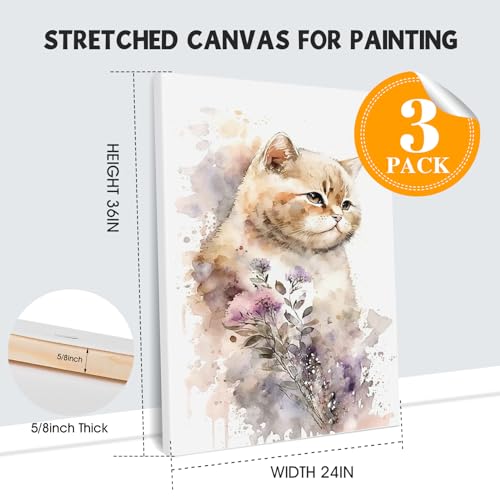 ESRICH Stretched Canvas for Painting 24x36 Inch, 3Pack Large Canvas for Painting, Primed Acid-Free Cotton Blank Canvases, Art Paint Canvases for Oil Paint,Watercolor,Acrylic Paint,Gouache and Tempera. - size: 24x36in-3Pack