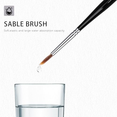 Paint Brushes Set-Sable Watercolour Brushes Round Point Tip Paint Brush Set for Watercolor, Acrylic, and Oil Painting