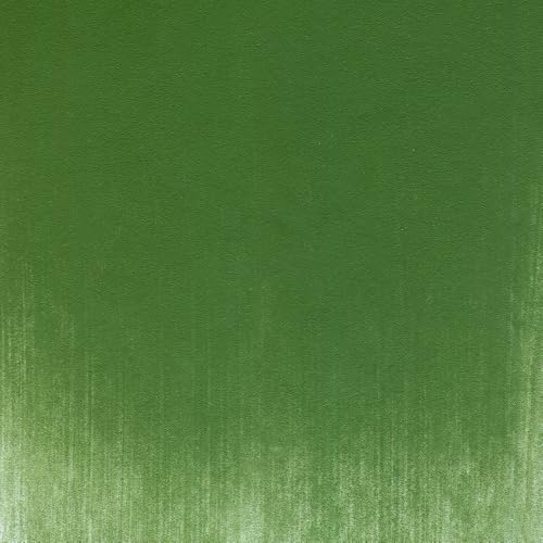 PanPastel Artist Pastels by GOLDEN, Chromium Oxide Green, 2.44” / 62mm Pan Diameter, Professional Artist Pastels, Unique Pan Format (cake-like) - color: Chromium Oxide Green, size: 9 ml (Pack of 1)