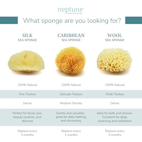 Neptune Caribbean Sea Sponge 2-Pack, Small, Approx. 4-5 in, Exfoliating | Hand cut so size and shape vary slightly. Eco-friendly, biodegradable, ultra-soft for face and body