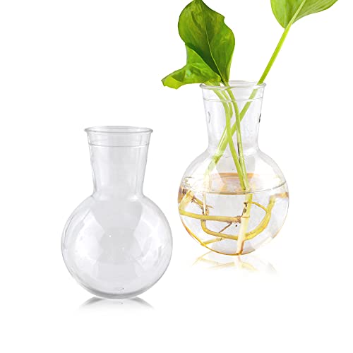 6PCs Transparent Vase for Hydroponic Silicone Epoxy Resin Mold,Clear Plastic Bottle for Propagation Station,Home Desktop Decoration - size: Vase