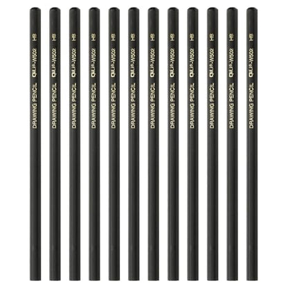 PATIKIL 12Pcs HB Drawing Pencils for Sketching, Hexagonal Sketch Pencils for Drawing Writing Art Sketching Artists Beginners, Black - style: HB