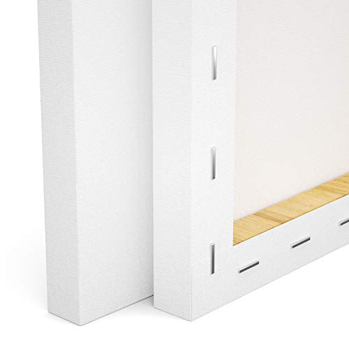 GOTIDEAL Stretched Canvas, 5x7 Inch Set of 10, Primed White | 100% Cotton Artist Canvas Boards for Painting, Acrylic Pouring, Oil Paint Dry & Wet Art Media - color: White, size: 5"x7"