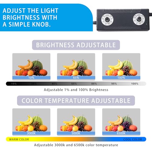 Photo Studio Light Box, 24"x24" Professional Dimmable Portable Photo Box with 240 LEDs Lights & 4 Kinds Double-Sided Color Backgrounds for Product Photography - size: 24 x 24 inches