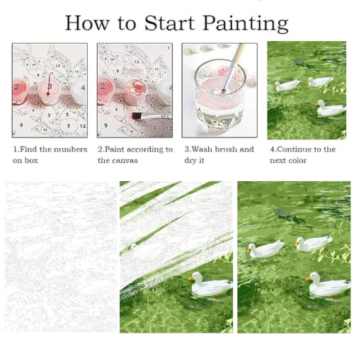 ZRIZQ Paint by Numbers Kit for Adults Beginner,Duck Summer,16x20 - color: 16"X20"Rolled Canvas(Frameless)-Duck 2