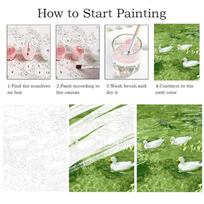 ZRIZQ Paint by Numbers Kit for Adults Beginner,Duck Summer,16x20 - color: 16"X20"Rolled Canvas(Frameless)-Duck 2