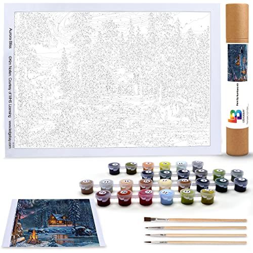 Ledgebay Paint by Numbers Kit for Adults, 16x20 Unframed Canvas - color: Aurora Bliss, size: 16" x 20" Unframed