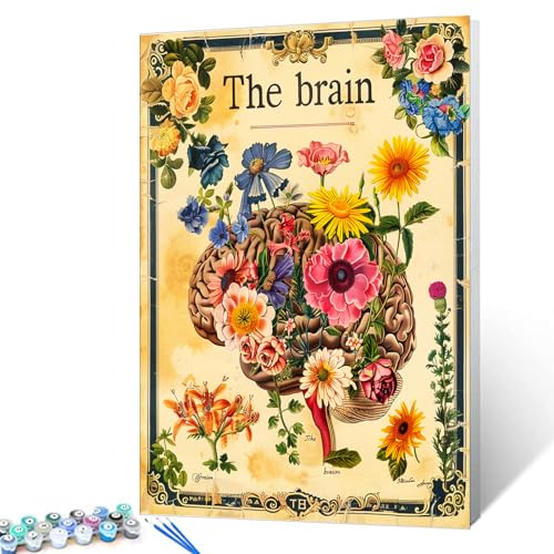Aihonmin The Brain Paint by Number Kits for Adults,Vintage Floral Human Poster Canvas,Floral Paint by Number Set with Brushes and Acrylic,Home Wall Decor Without Framed Canvas Prints 16x20 Inch - color: Organs-02, size: 16''x20''(Frameless)