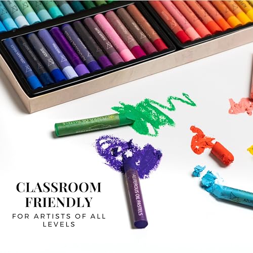 Oil Pastels - 48 Colors soft pastels for artists - oil pastel set - pastels art set - portfolio oil pastels professional - pastels art supplies for kids - pastel kit - style: Use by Professional