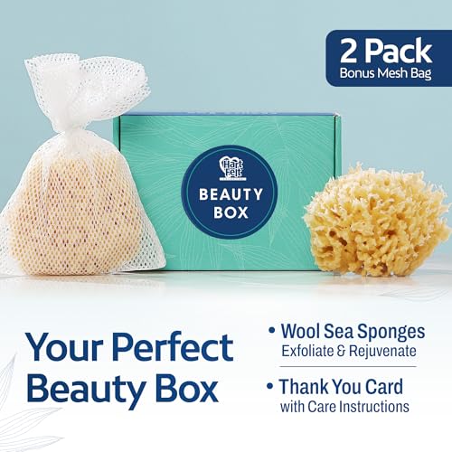 HartFelt Wool Sea Sponge Beauty Box for Delicate Skin | 2 Bath Sponges for Shower Women & Men 4 in | Natural Sponge with Mesh Bag for Cleaning & Drying | Chemical-Free Body Sponge Set - Gift Box - size: 1 Count (Pack of 2), style: Wool Sea Sponge