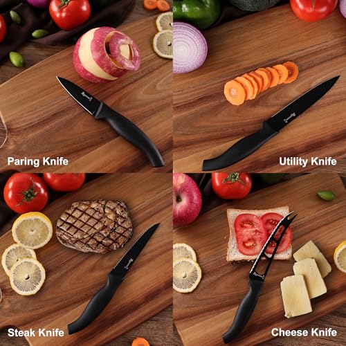 ROMANTICIST Knife Set, 10 Pieces Knife Block Set - Stainless Steel Kitchen Knives with Sharpener and Cheese Knife, Non-Slip Ergonomic Handles, Exquisite Knives Set - Stylish Black - color: Silver round knife block