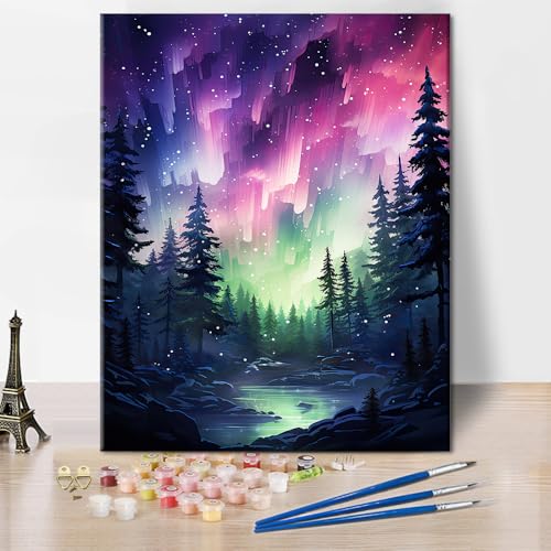TUMOVO Aurora Borealis Night Sky Paint by Numbers Craft Kit for Adults | Landscape Art on 16x20 Inch Unframed Canvas with Acrylic Paints and 3 Brushes Relaxing DIY Craft and Wall Decor - color: Aurora