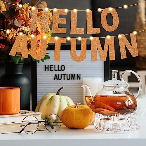 TaoBary 107 Pcs DIY Banner Letters Kit Glitter Banner,Glitter Orange | 107 Glitter Letters Numbers with Rope and Needle, Reusable for Birthday, Halloween, Christmas, Wedding, Valentine Decor - color: Glitter Orange