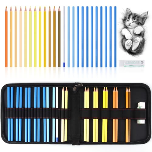 Professional Drawing Set,12 Colored Pencils,12 Graphite Pencils,Eraser,Case - color: Set-Yellow