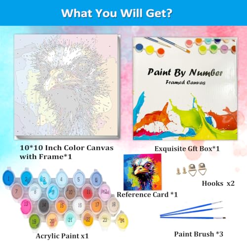 Artunion Framed Paint by Numbers Kit for Adults Beginners & Kids Ages 8-12,Colorful Ostrich Paint by Number with Frame,Animal Paint by Numbers Kit on Canvas 10 * 10 Inch Without Easel - color: ZXT-392-F