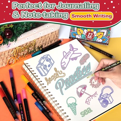 Aen Art 12 Colors Outline Shimmer Markers, Glitter Metallic Pens Drawing Art Supplies, Gift Trendy Stuff for Kids Girls Ages 4, 6, 8, 10, 12 Year Old