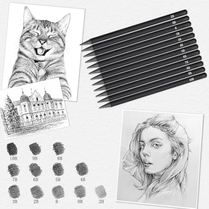 EVNEED Woodless Pencil Set,12 pcs Non-wood Graphite and Charcoal Sketching for Drawing,Writing,Shading,Color Black-Set of 12