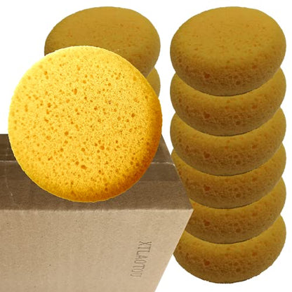 A Box of 12 Tack Sponges (Middle Hole) - color: 12 Middle Hole, size: Medium
