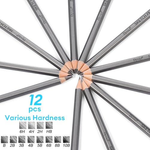 Dyvicl Professional Drawing Sketching Pencil Set - 12 Pieces Drawing Pencils 10B, 8B, 6B, 5B, 4B, 3B, 2B, B, HB, 2H, 4H, 6H Graphite Pencils for Kids, Beginners, Pro Artists
