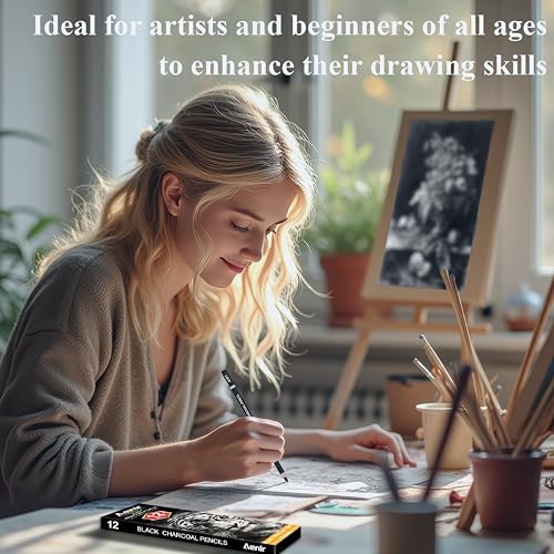 Aenir Charcoal Pencils for Drawing,（S-Soft, Soft, Medium, Hard 12 Pieces | Charcoal Drawing Pencils for Drawing, Sketching, Shading, Smooth, Art Supplies for Artist and Beginners - color: Black