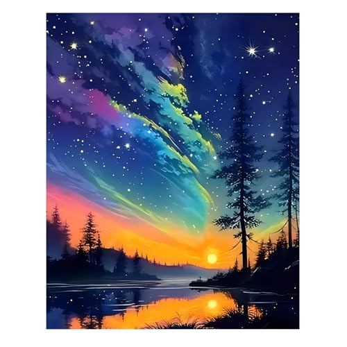 Reivworl Landscape Paint by Numbers Kit for Adults, Aurora Paint by Number for Adults, Adult Paint by Number Kits for Gifts and Home Wall Decor 16x20 Inch - color: 10-Aurora, size: Without Frame