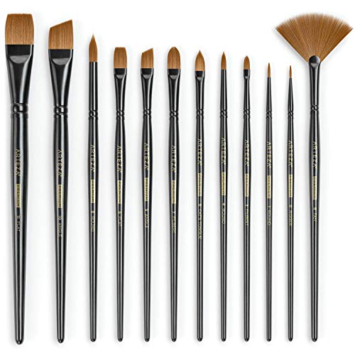 ARTEZA Paint Brushes Set of 12, Acrylic and Oil Paint Brushes with Synthetic Hair, Rust-Resistant Ferrules and Birch Wooden Handles for Canvas, Crafts, Blending, Layering, and Detail Work - style: Acrylic & Oil