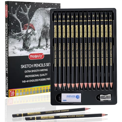 PANDAFLY Drawing Sketch Pencil Set, 16 Piece, 4H to 14B Graphite Pencils