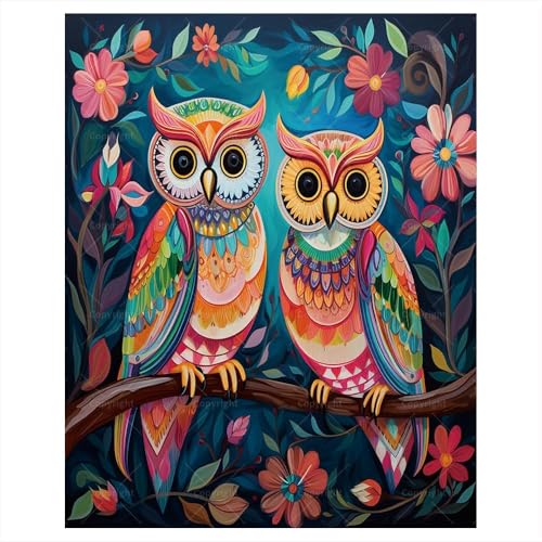 Colorful Owls Paint by Numbers Kit for Adults - DIY Animal Painting on Canvas, Adults' Paint-by-Number Kits Acrylic Paint Set for Beginners, Owl Art Kit for Home Decoration or Gifts(12X16IN Framed) - color: AI-72753, size: 12X16IN Framed