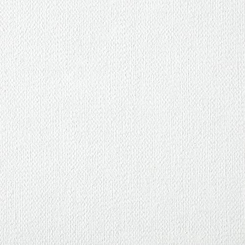 Centurion Deluxe Pre-Primed Linen Canvases, 1.5" Deep - 11"x14", 3 Pack | Professional Acrylic Primed Pre-Stretched Canvases, 11oz Linen - Kiln-Dried Stretchers, Back Stapled, Museum Archival Quality - size: 11"x14"