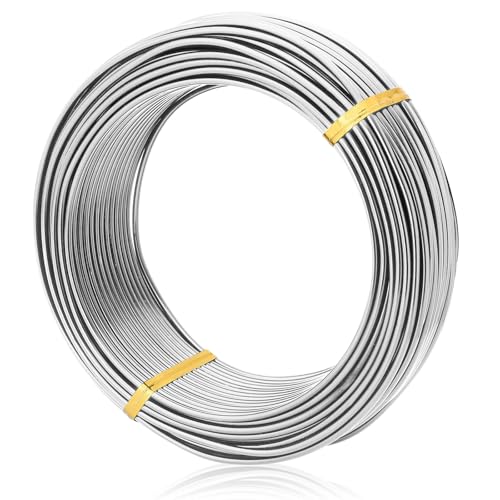 Bonsai Training Aluminum Wire, 2.0mm 12 Gauge Silvery 200g, Bendable Anodized Craft Wire, Flexible Armature Wire for Bonsai Tree Shaping, DIY Handcraft and Model Making(Silvery-2.0) - color: Silver, size: 12 Gauge