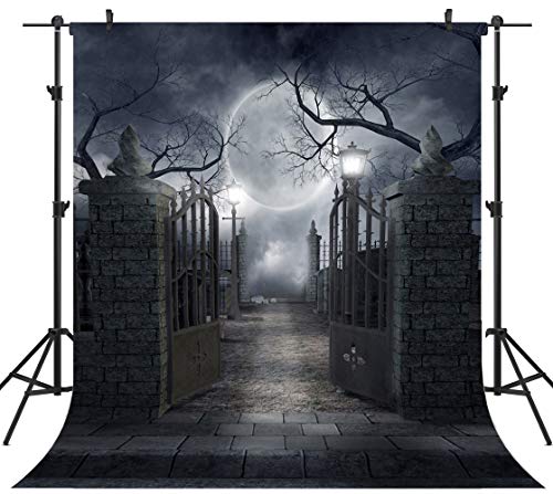 10X10FT Halloween Theme Pictorial Cloth Customized Photography Backdrop Background Studio Prop TP17C - size: 10X10FT