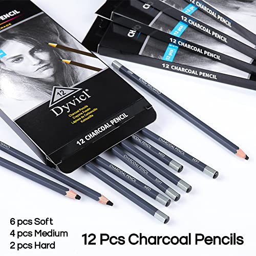 Dyvicl Professional Charcoal Pencils Drawing Set - 12 Pieces Soft Medium and Hard Charcoal Pencils for Drawing, Sketching, Shading, Artist Pencils for Beginners & Artists