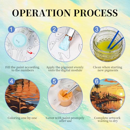 Paint by Numbers Kit for Adults, Sunset DIY Painting Kit, 16x20 Inch - color: CYOP1P03