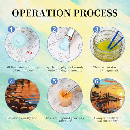 Paint by Numbers Kit for Adults, Sunset DIY Painting Kit, 16x20 Inch - color: CYOP1P03