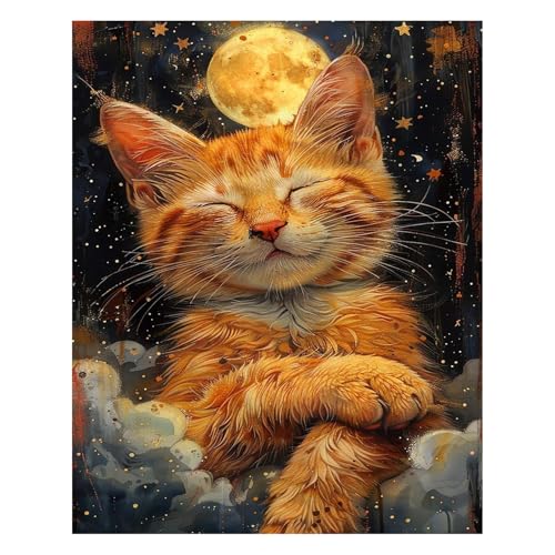 PHANTASYART Cat Paint by Numbers Kit for Adults 16x20inch | Sleeping Cat Canvas Paint by Numbers for Adults,DIY Oil Painting Kit Perfect for Gifts and Home Wall Decor - color: Cat, size: 16x20inch