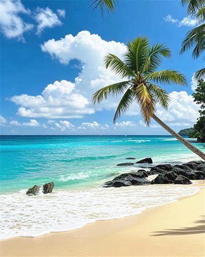 ZRIZQ Paint by Numbers Kit for Adults Beginner,Beach Landscape,16x20 | Full set with rich paints,wooden brushes,rolled canvas.Calming activity.Beginner friendly.Just open and paint. - color: 16"X20"Rolled Canvas-Landscape 15