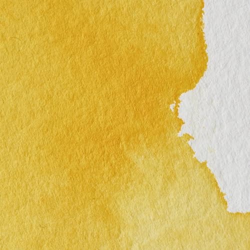 Winsor & Newton Professional Watercolor, 5ml Tube, Cadmium-Free Yellow | Unrivalled Transparency, Single Pigment Vibrant Colors, Archival Permanence, Heritage Watercolors, Finest Pigments - color: Cadmium-free Yellow, style: 0.17-oz Tube